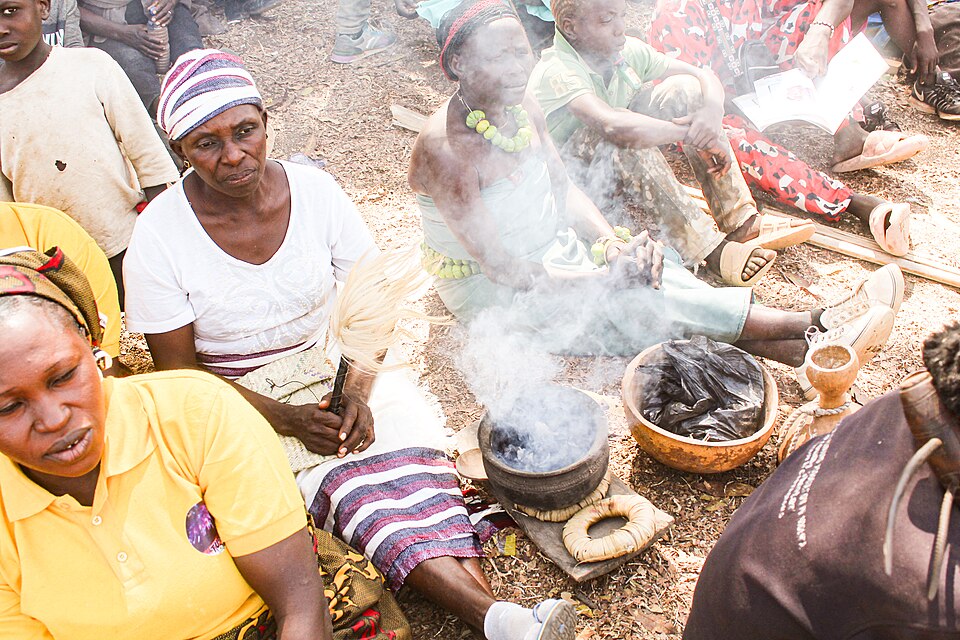 African Traditional Healers