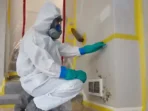 Hire Mold Remediation