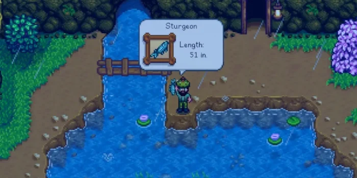 How to Catch Sturgeon Stardew Valley