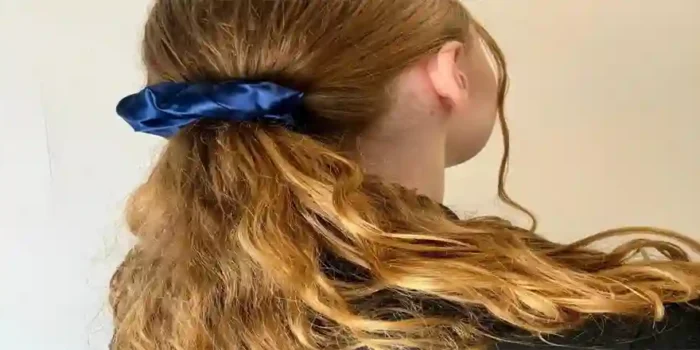 silk hair scrunchies